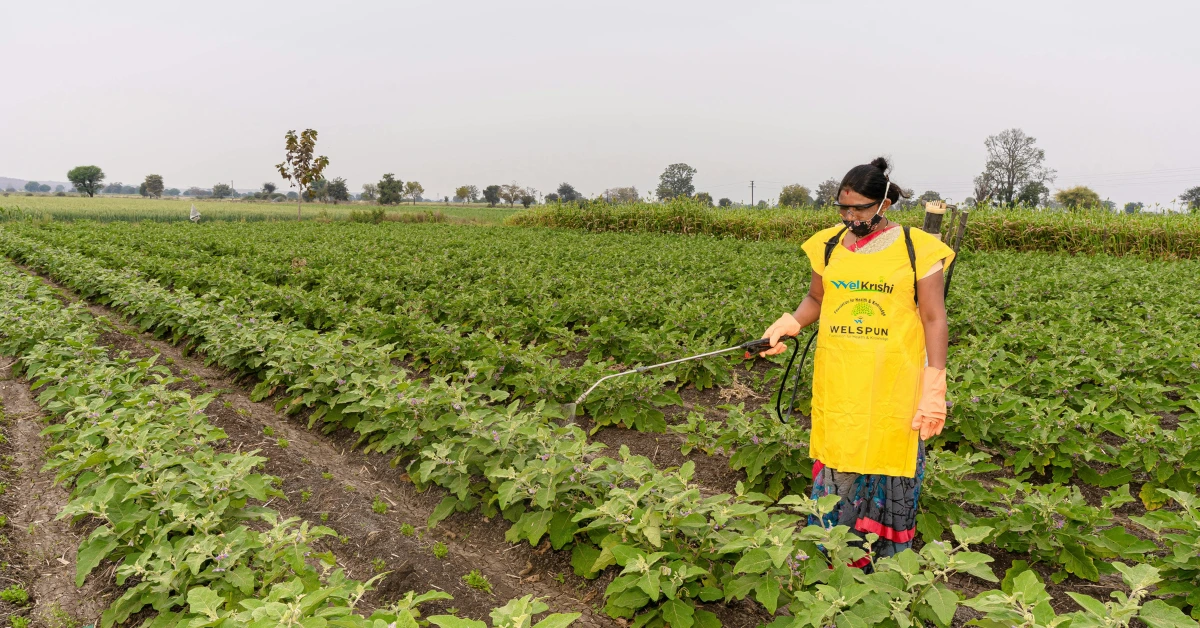 17 Agri Business Ideas That Turn Effort into Income